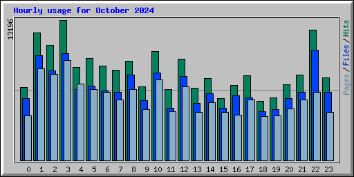 Hourly usage for October 2024