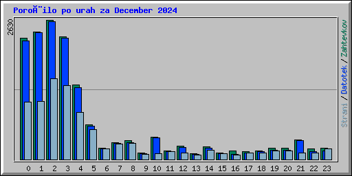 Poroèilo po urah za December 2024