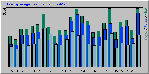 Hourly usage for January 2025