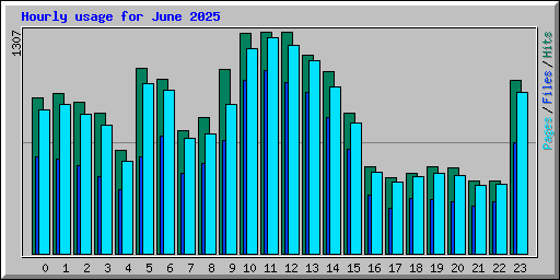 Hourly usage for June 2025