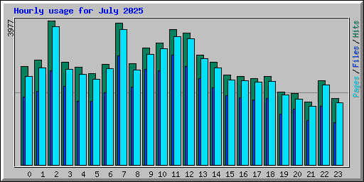 Hourly usage for July 2025